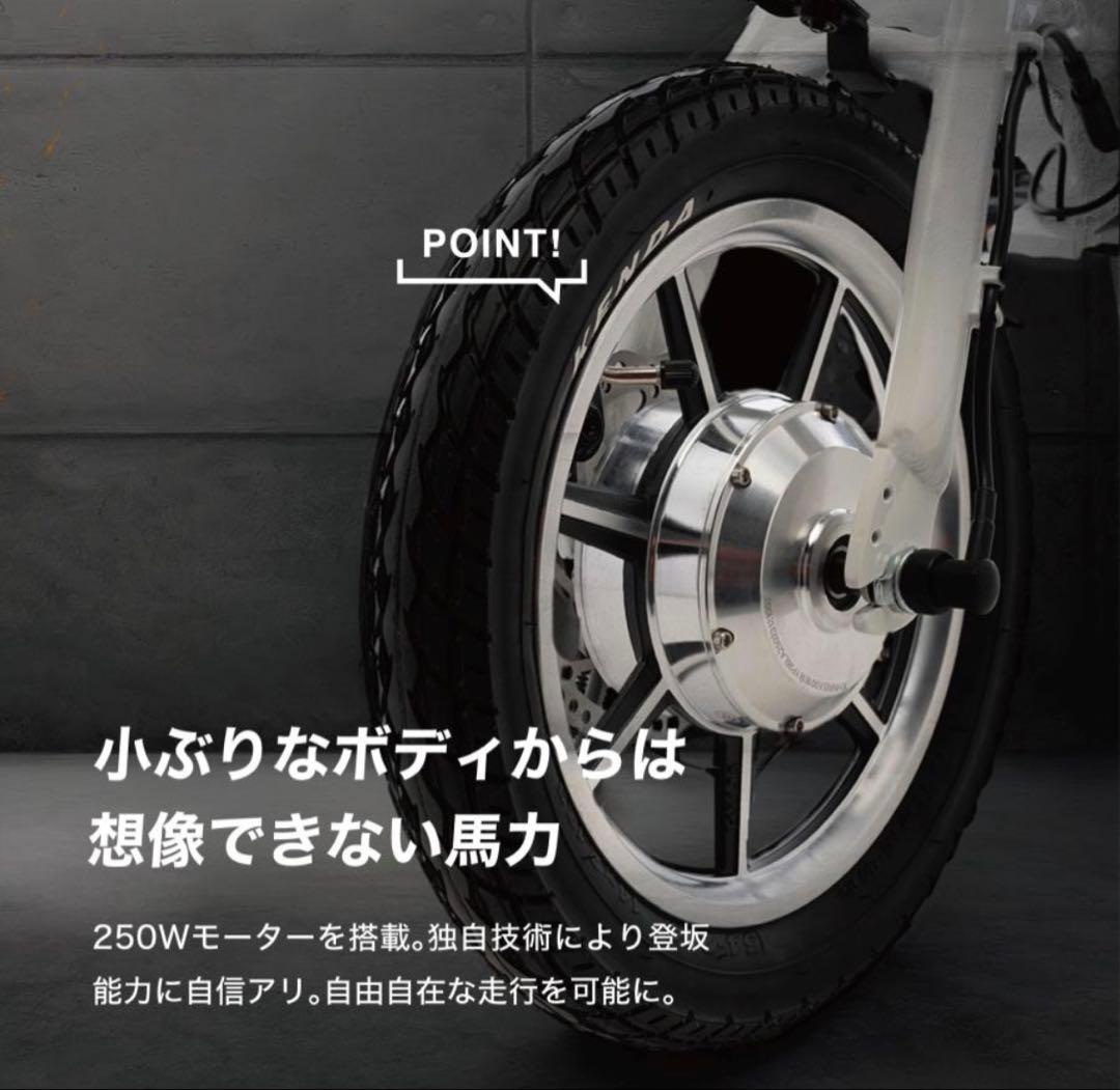 RICH BIT CITI リッチビットシティ折りたたみ電動アシスト自転車