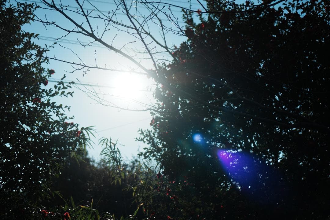 【美品】動作◎ SONY E 35mm F1.8 OSS 神レンズ 228