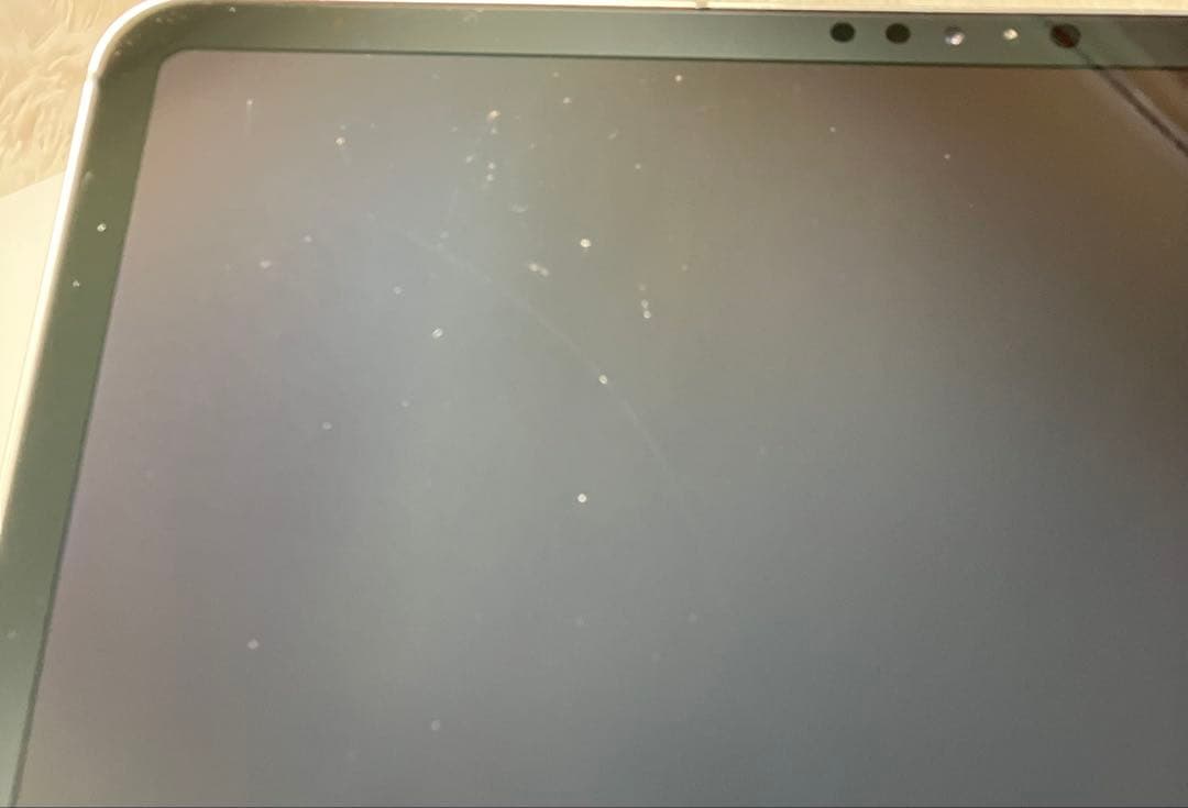 【完動品】iPad Pro 12.9 256GB SIMフリー 【発送】