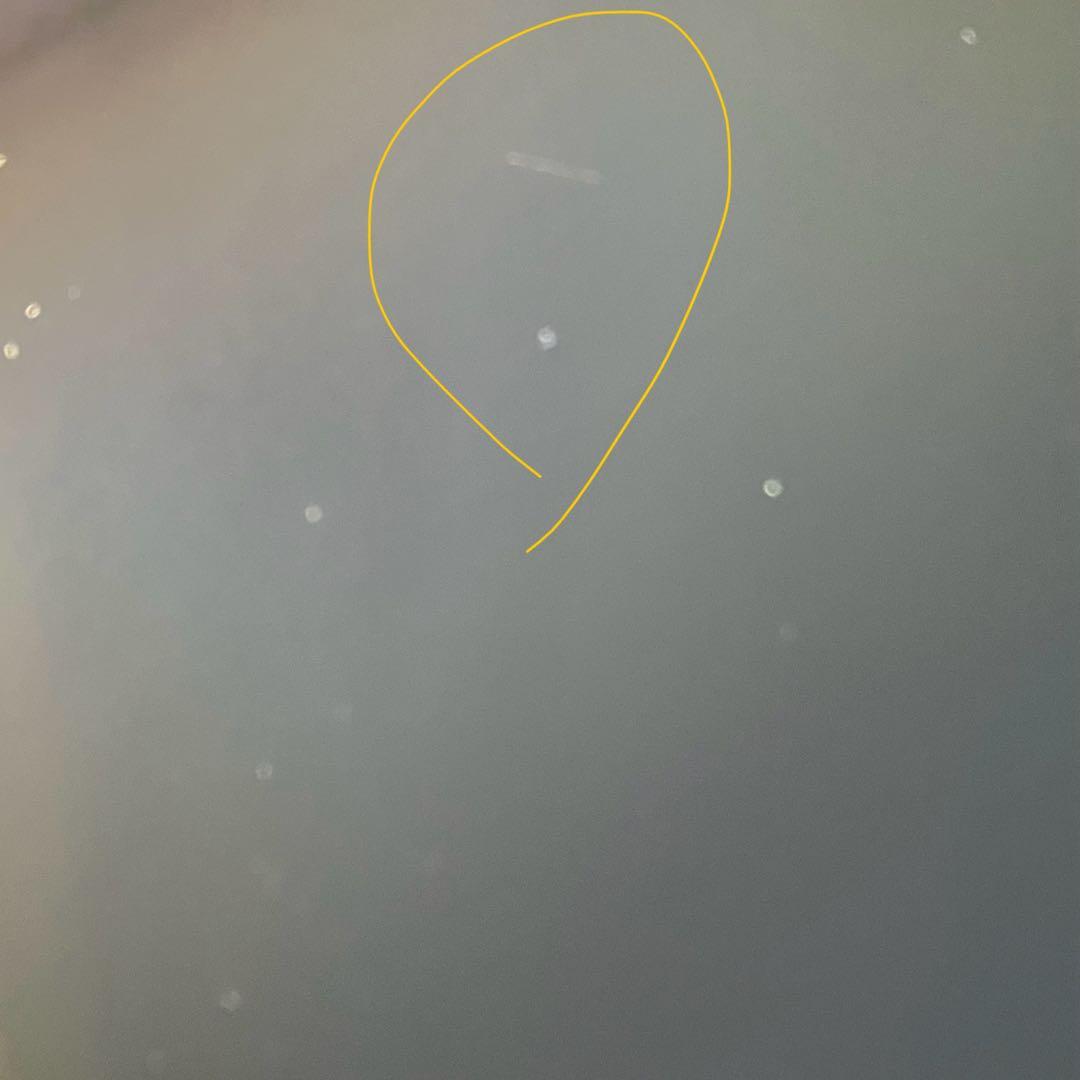 【完動品】iPad Pro 12.9 256GB SIMフリー 【発送】