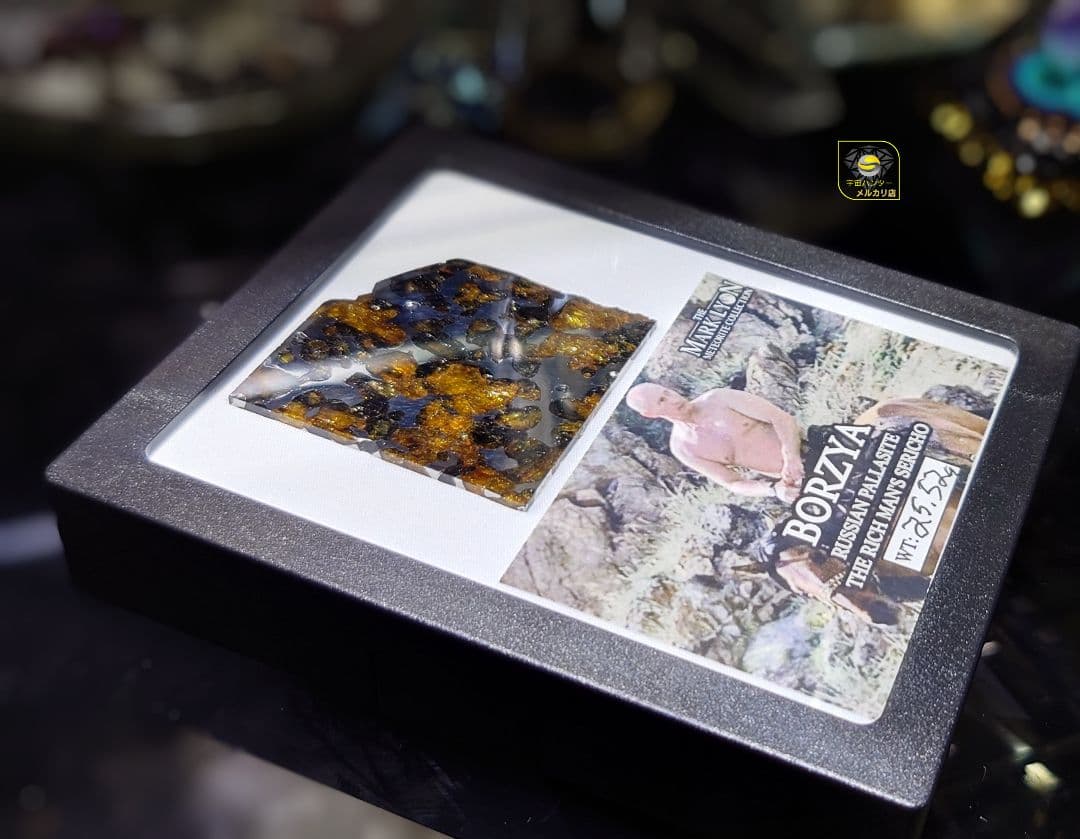 ⭐ 25.52g 隕石ボルジャパラサイト⭐⭐