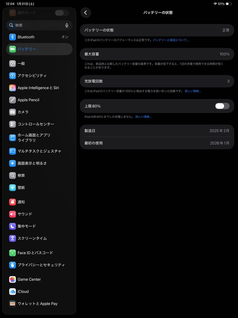 iPadPro M4 13インチWi-Fi256gb ほぼ新品バッテリー100%