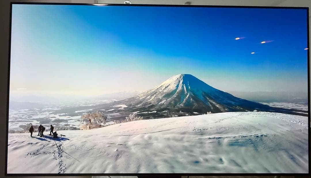 【OLED】有機EL 65インチ OLED65CXPJA