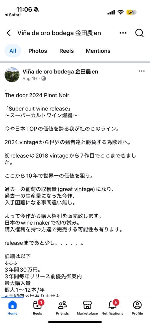 【超希少】Vina de oro bodega The Door 2024