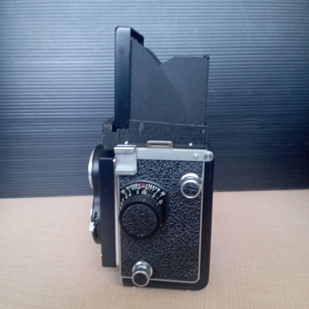 SEAGULL 海嶋　4B-1