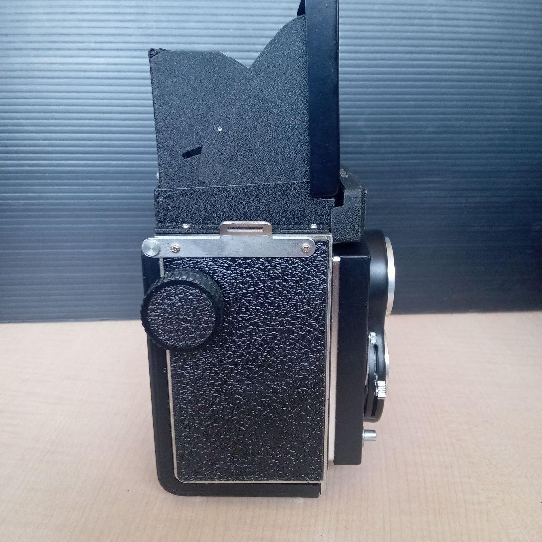 SEAGULL 海嶋　4B-1