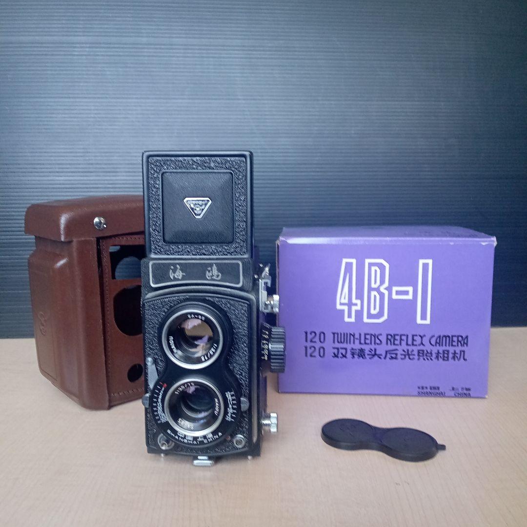 SEAGULL 海嶋　4B-1