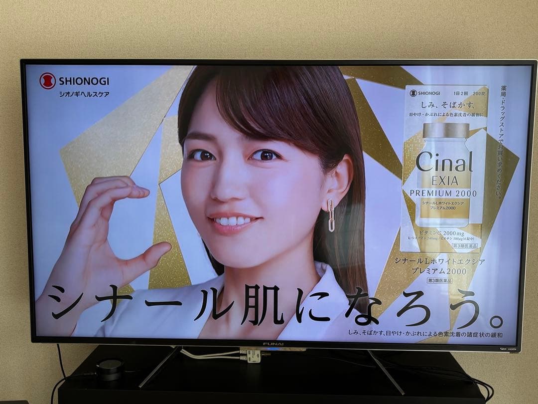 録画機能付き 49V型 4K液晶テレビ フナイ FL-49UD4100