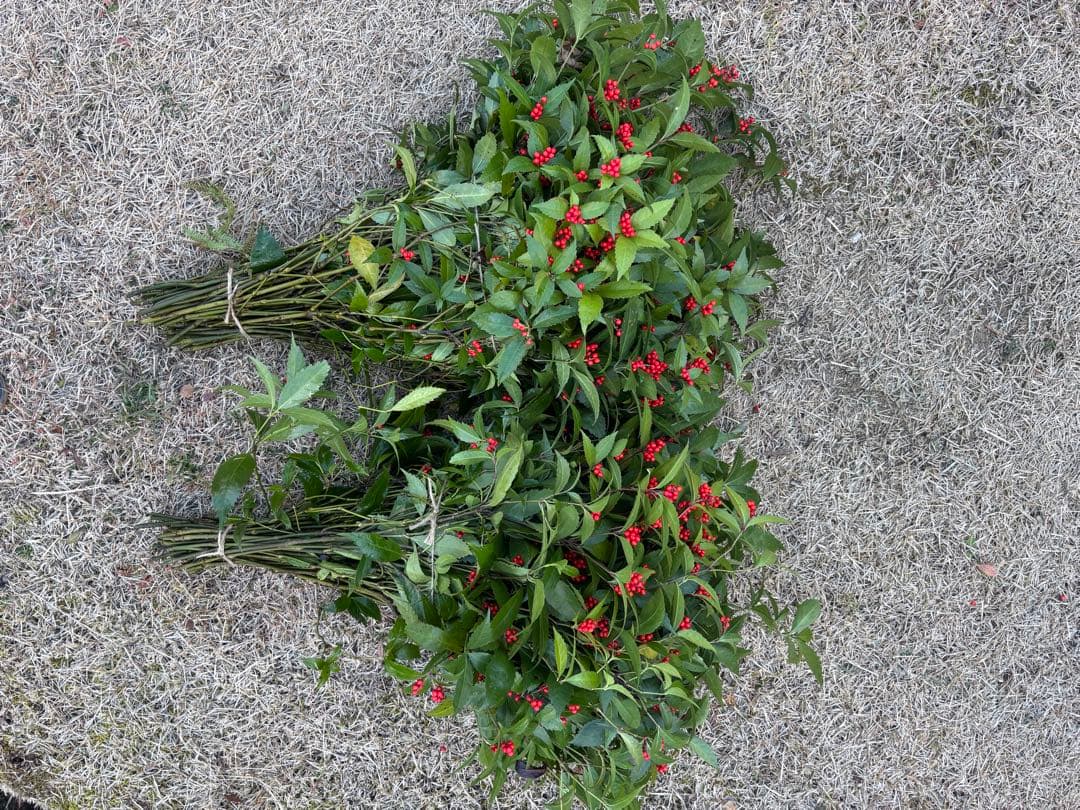 千両　エディブルフラワー　飾り葉