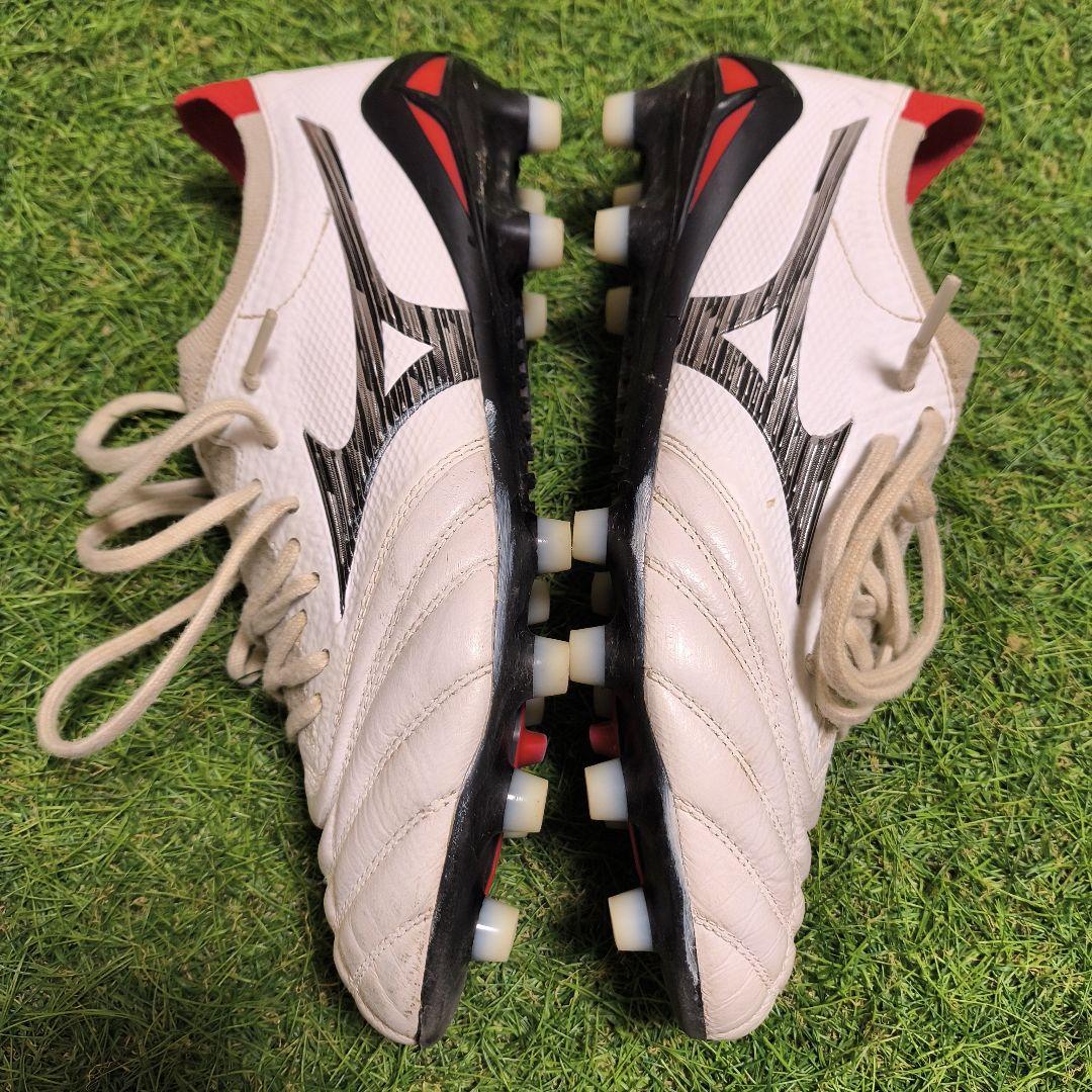 ☆りょう☆Morelia β Japan