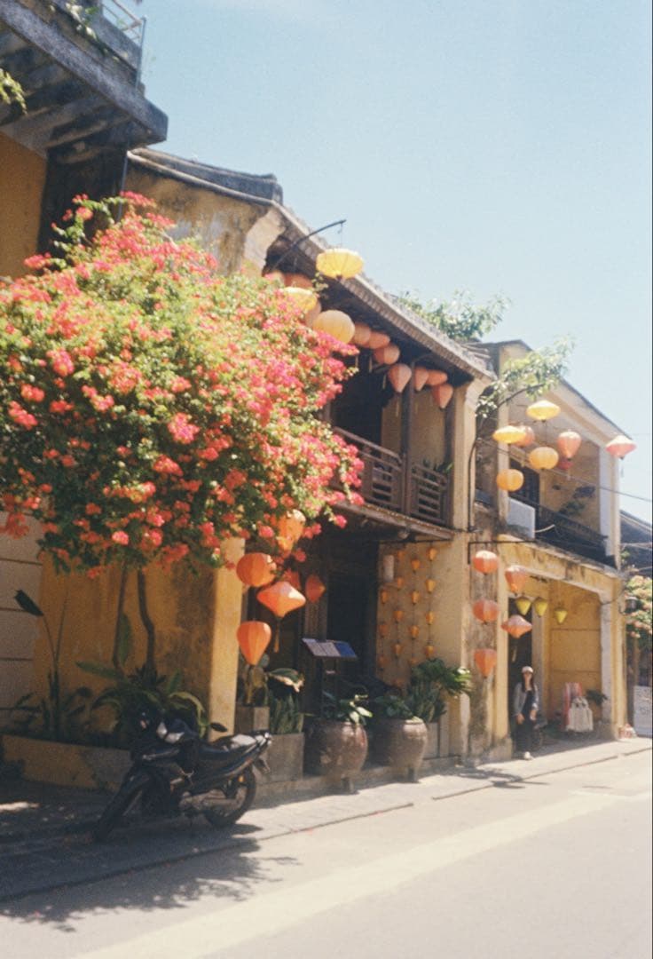 【フィルム付けないで確認した】CONTAX Tvs コンパクトカメラ