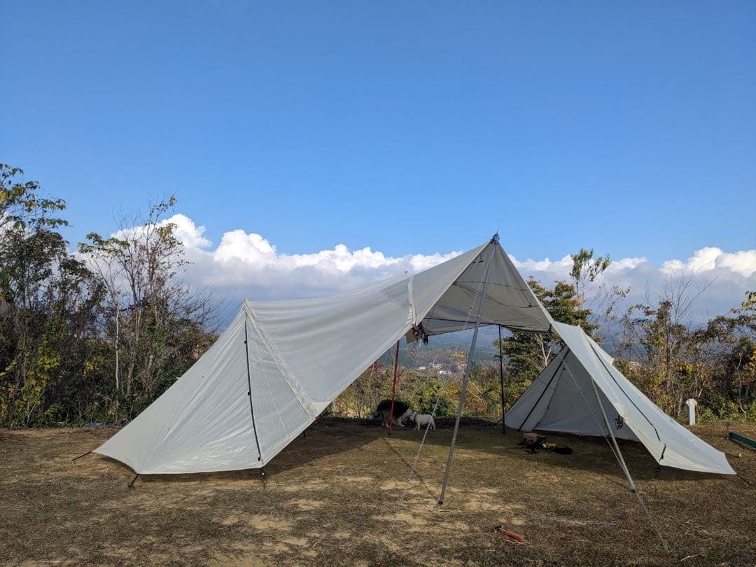 【二又ポール&跳ね上げポール付き】ランドステーションL アイボリー 二又付き