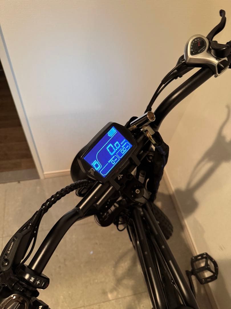 CAVET 電動アシスト自転車 ブラック