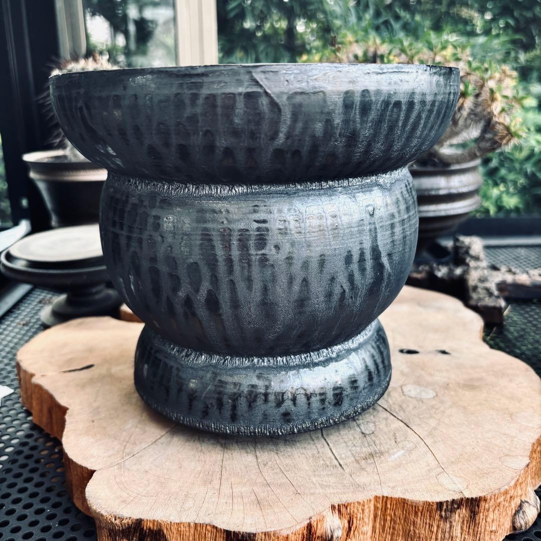 山中勇人 作家鉢 特大鉢 植木鉢 パキプス グラキリス アガベ 塊根 y鉢 2