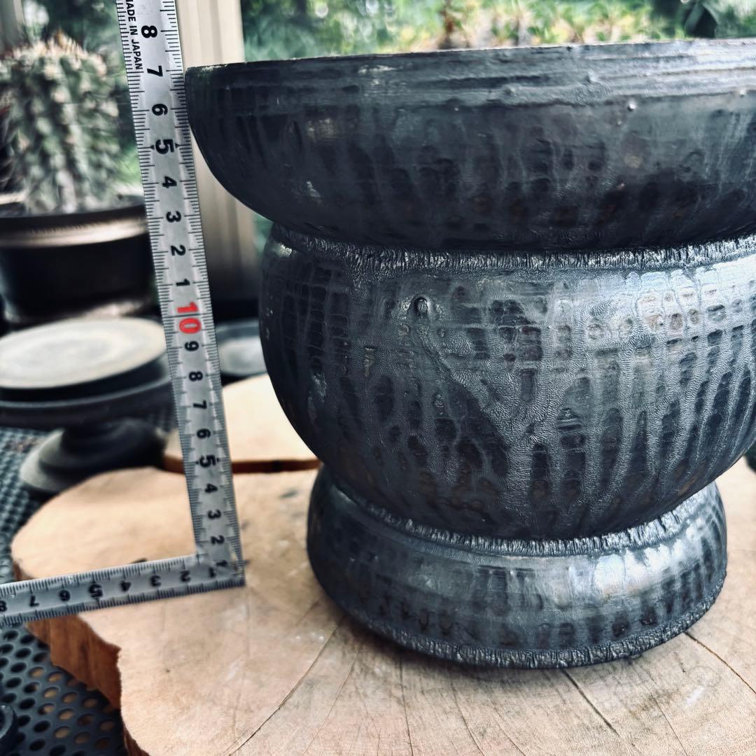 山中勇人 作家鉢 特大鉢 植木鉢 パキプス グラキリス アガベ 塊根 y鉢 2