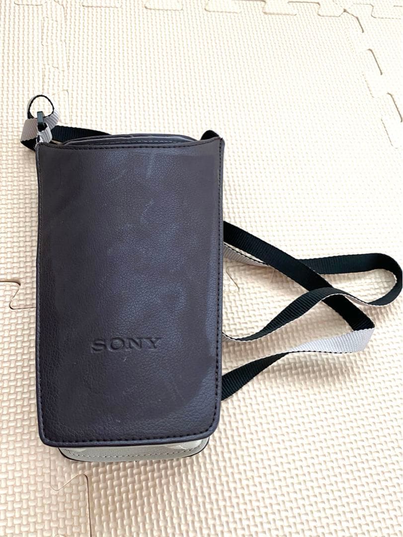 中古美品 ソニー ハンディカム デジタルHDビデオカメラ HDR-CX590V