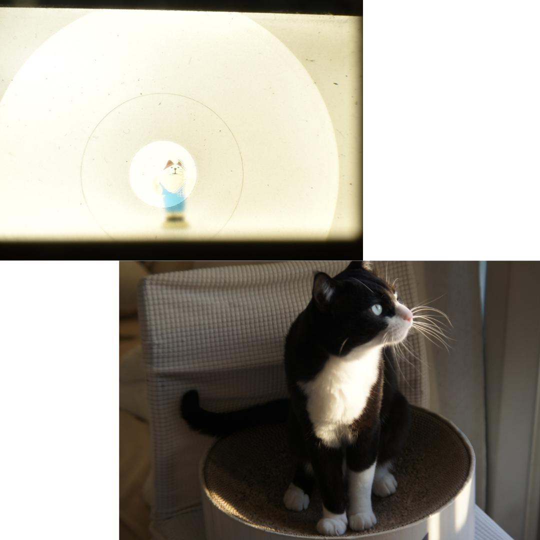 整備済 完動 Nikon F2 ブラック フォトミックA 43-86mm Ai