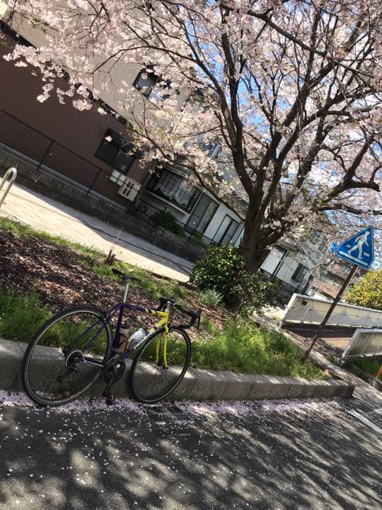 パナモリフレーム