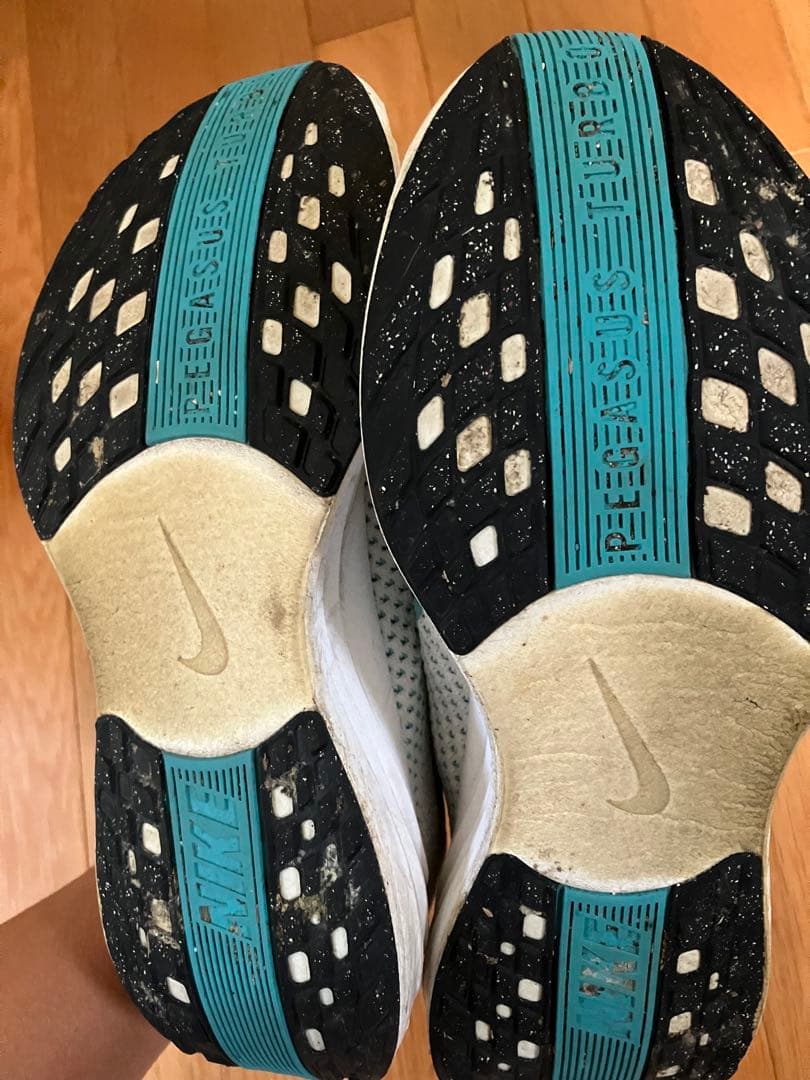 Nike ペガサスプラス 25cm