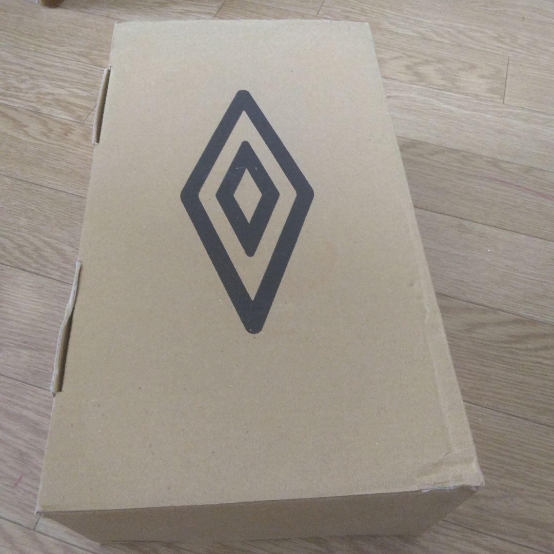 遠藤保仁　サイン　スパイク