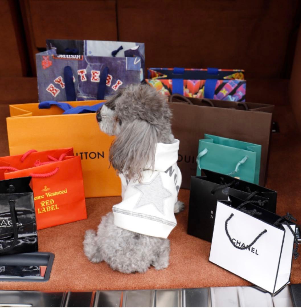 アトリエGG Hollywoodstar 0