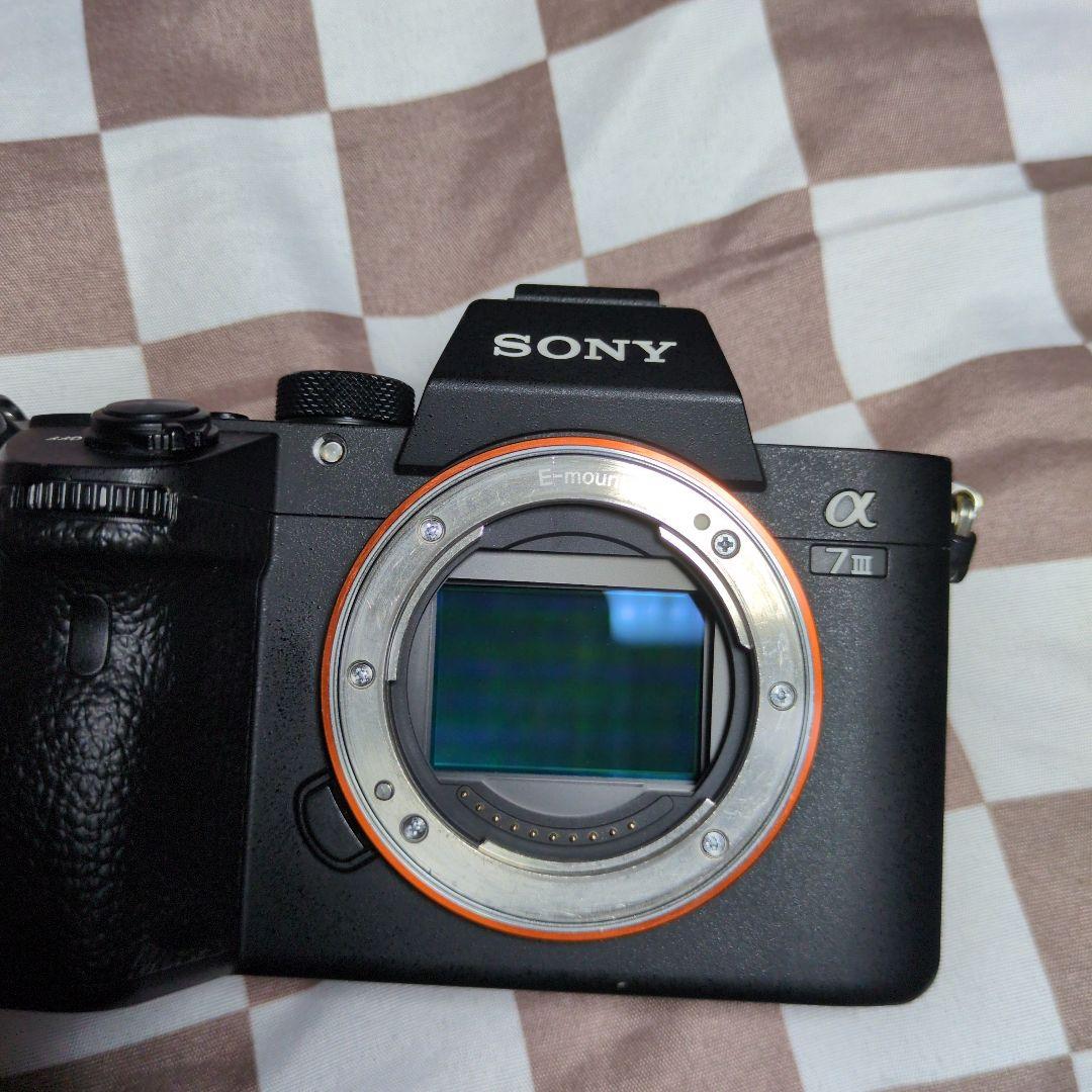 SONY α7 III ミラーレスカメラ 70-200 GOSS FE F4