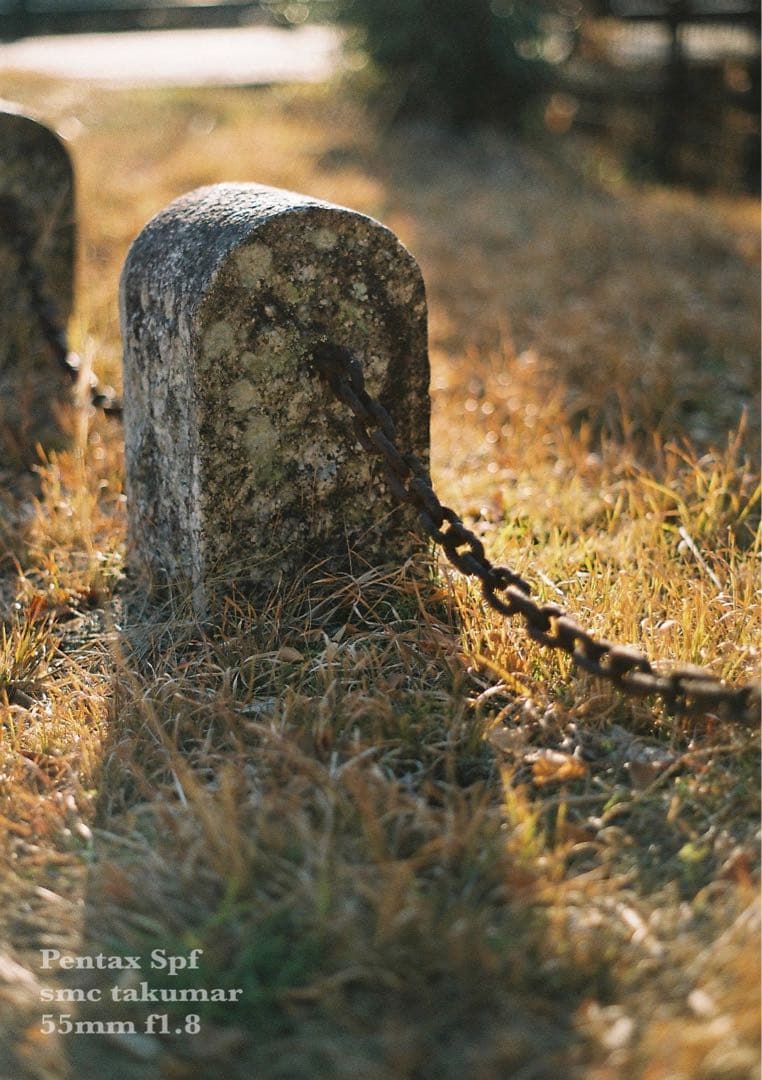 美品＊完動品＊初期保証 ★pentax spf★リザード本革ベージュ★作例必見！