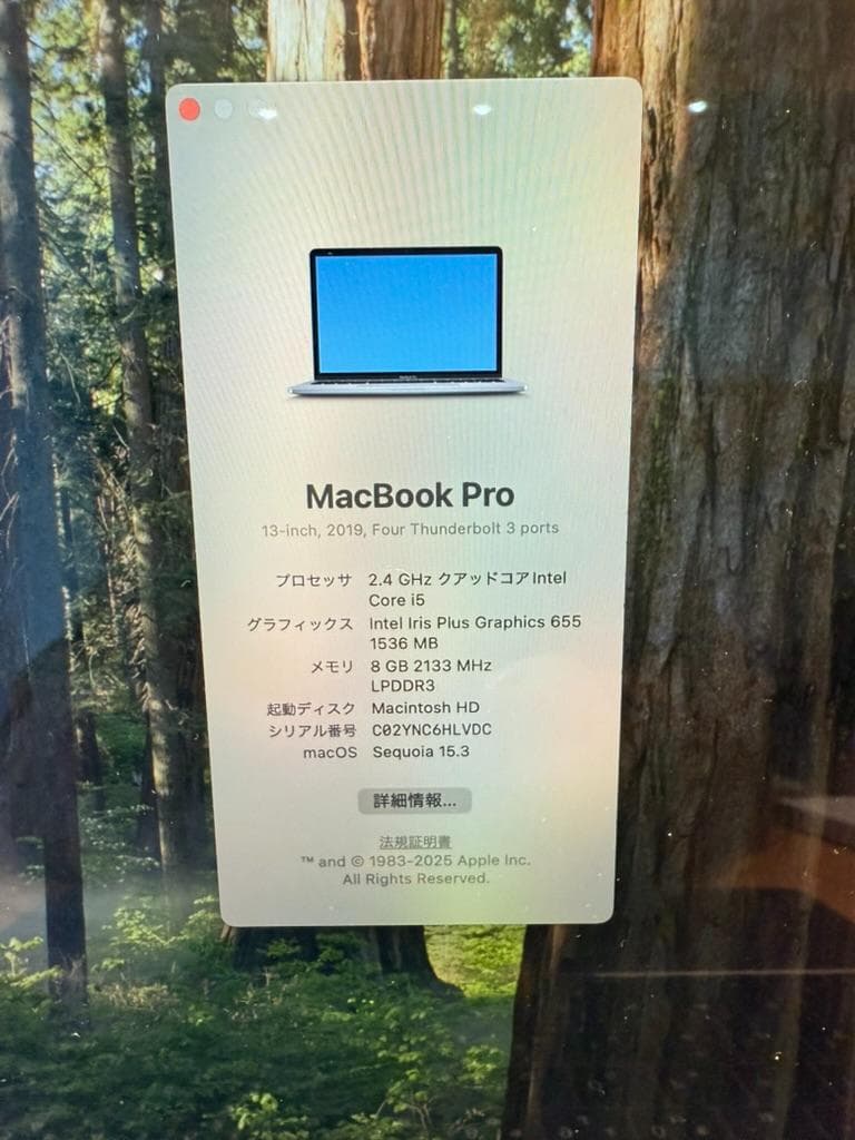 MacBook Pro 13インチ 2019 i5 8GB 256GB 箱他あり