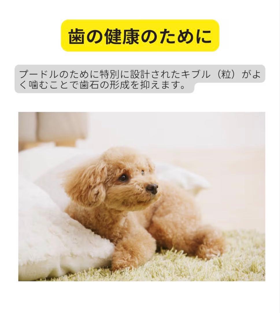  CANIN プードル ドライフード 7.5kg x3