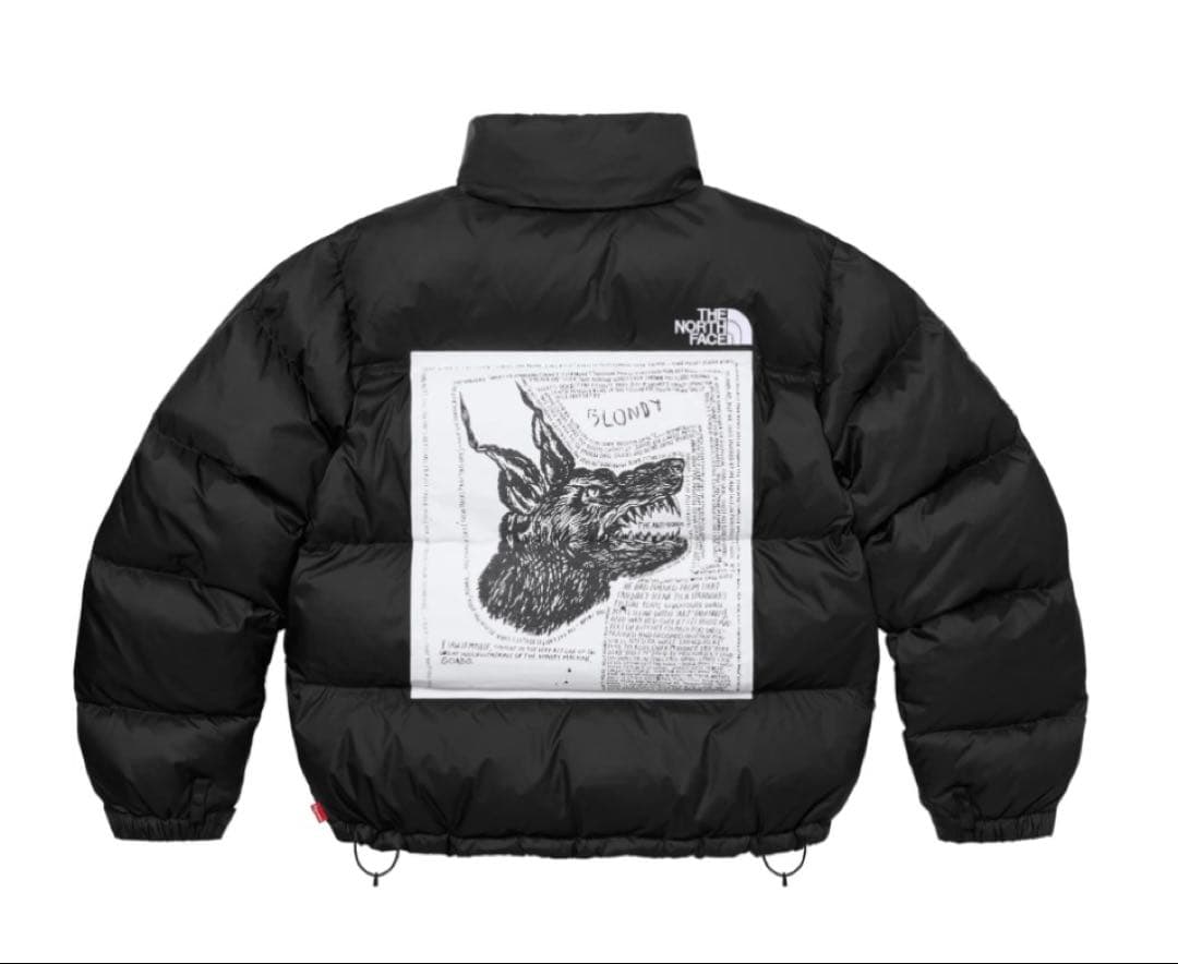 Supreme®/The North Face® Nuptse Jacket L