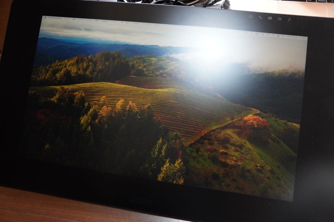 Wacom Cintiq Pro 24 TDTH-2420/K0 本体