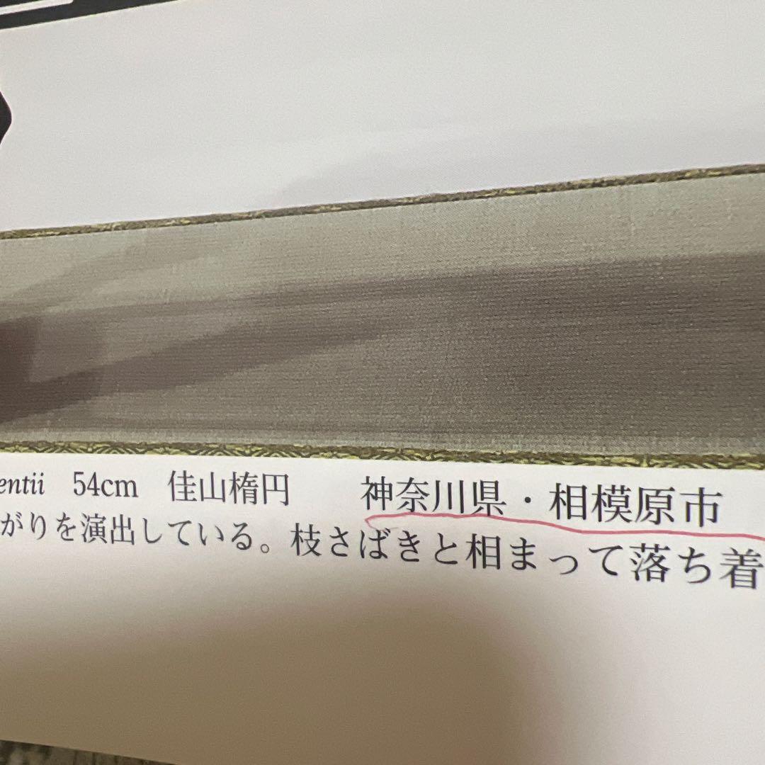 国風盆栽展　第76回〜90回　15冊セット