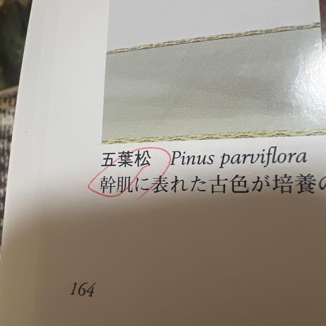 国風盆栽展　第76回〜90回　15冊セット