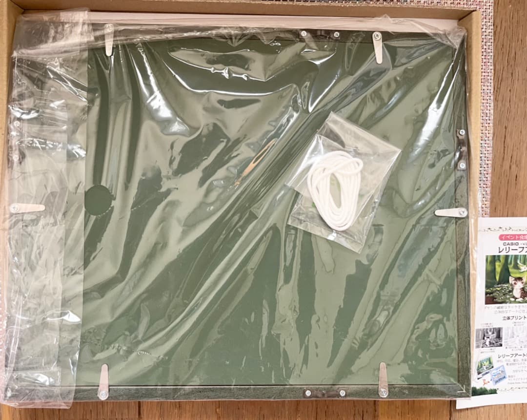 ✨新品✨わちふぃーるど限定 EVレリーフアート額装L 〜ウィリーウィンキー〜