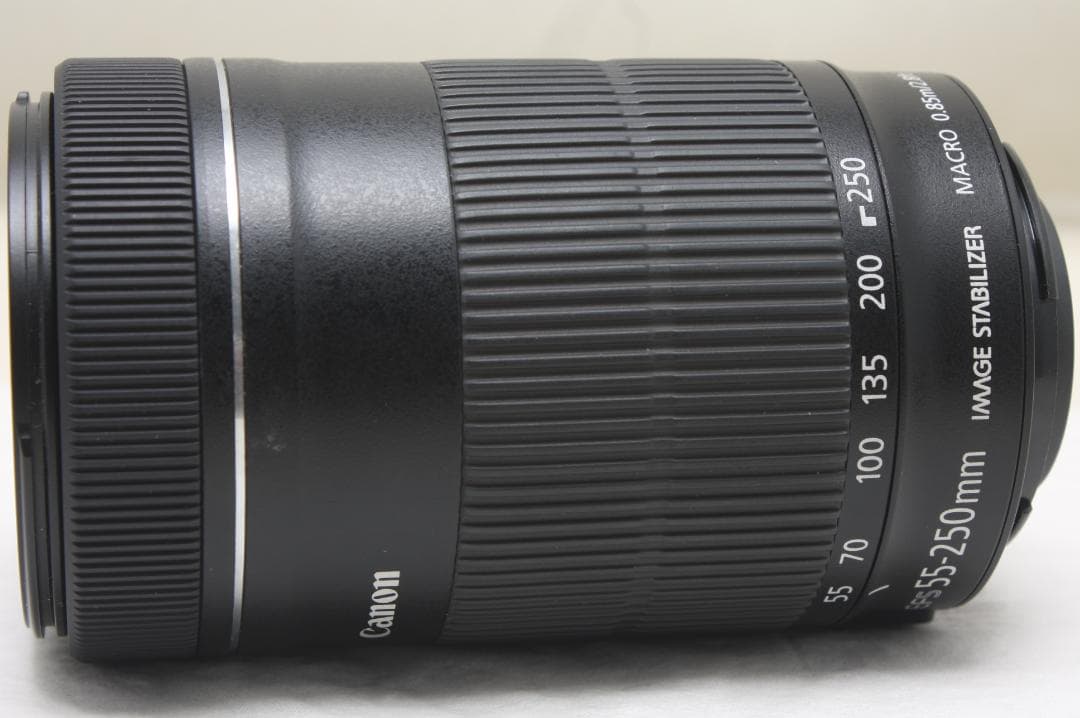 キヤノン EF-S 55-250mm F4-5.6 IS STM 2698