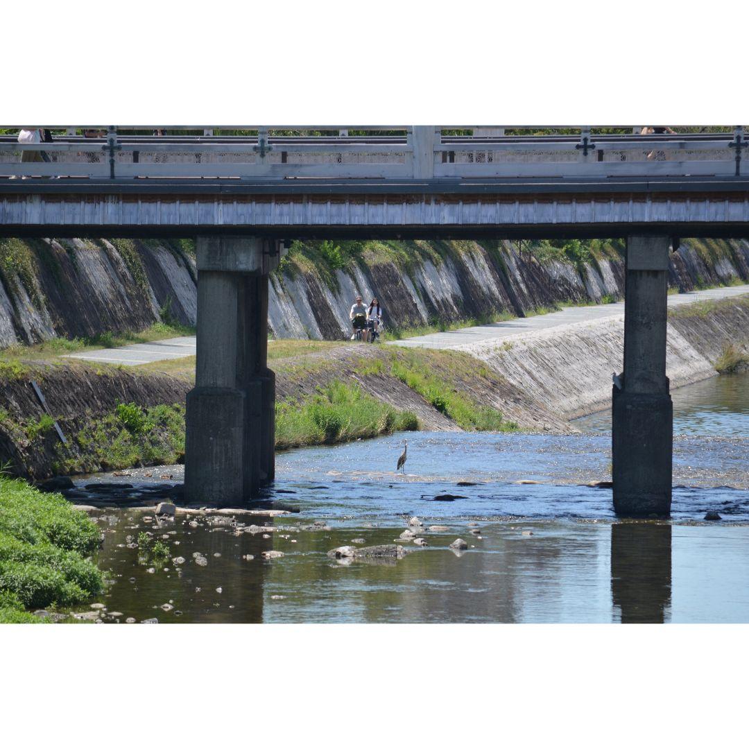 ❤即購入1000円OFF❤ ニコン Nikon AF-S 55-300mm VR