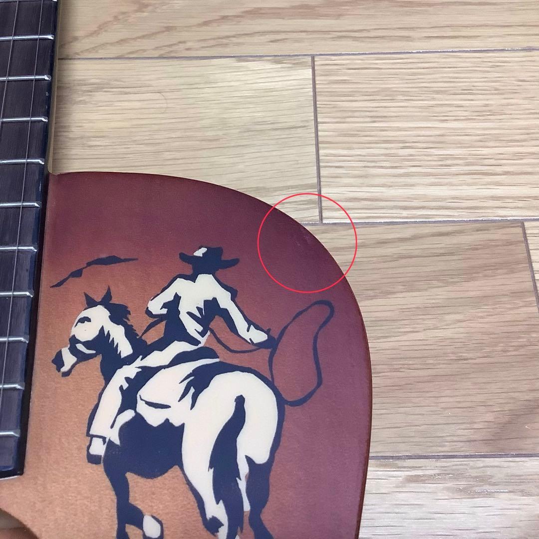 グレッチ Gretsch GRETSCH G4500 Americana アコギ