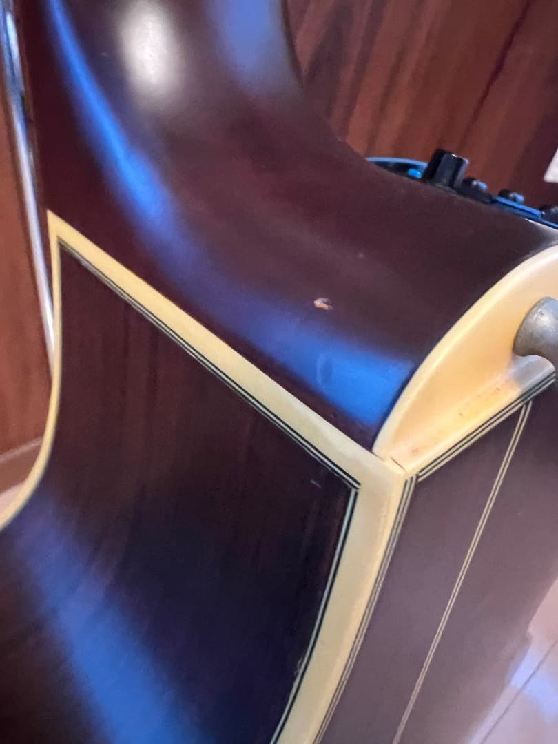 TAKAMINE NPT-110 エレガット