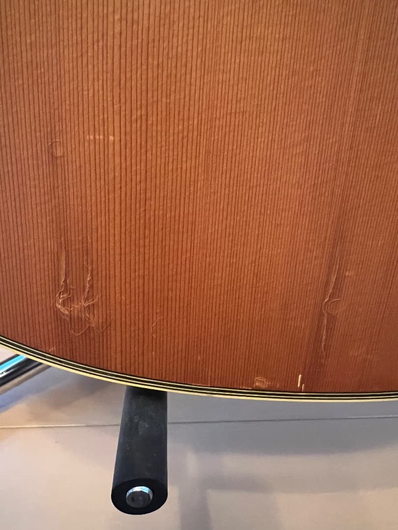 TAKAMINE NPT-110 エレガット