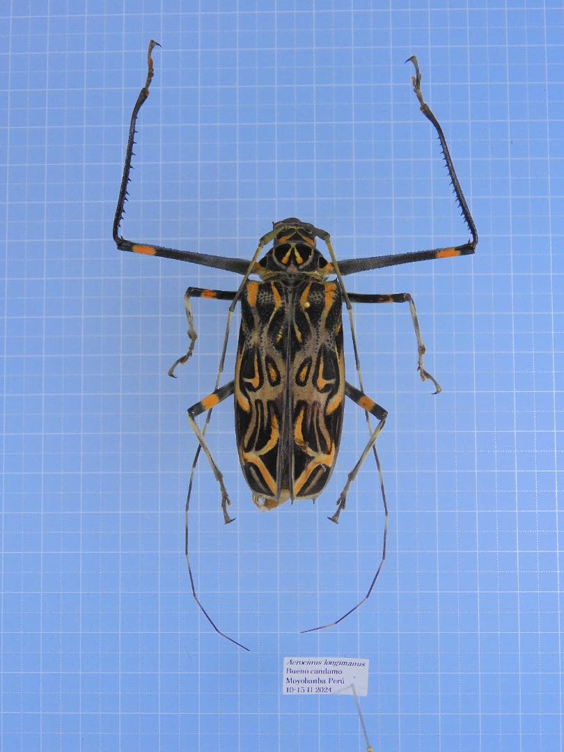 オモニリュック様 リクエスト 4点 まとめ商品