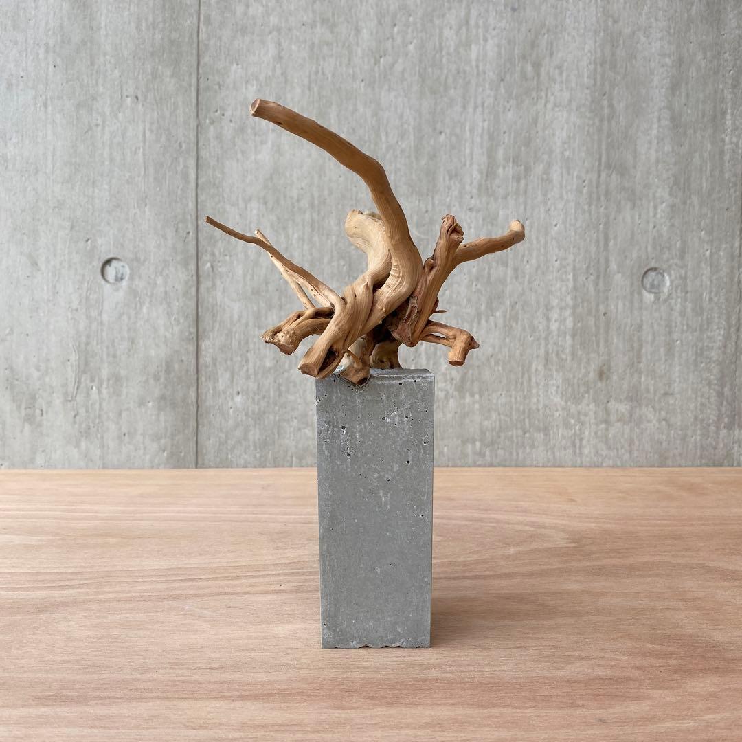 コンクリート盆栽 (m E ) 流木 オブジェ ディスプレイ 高級感