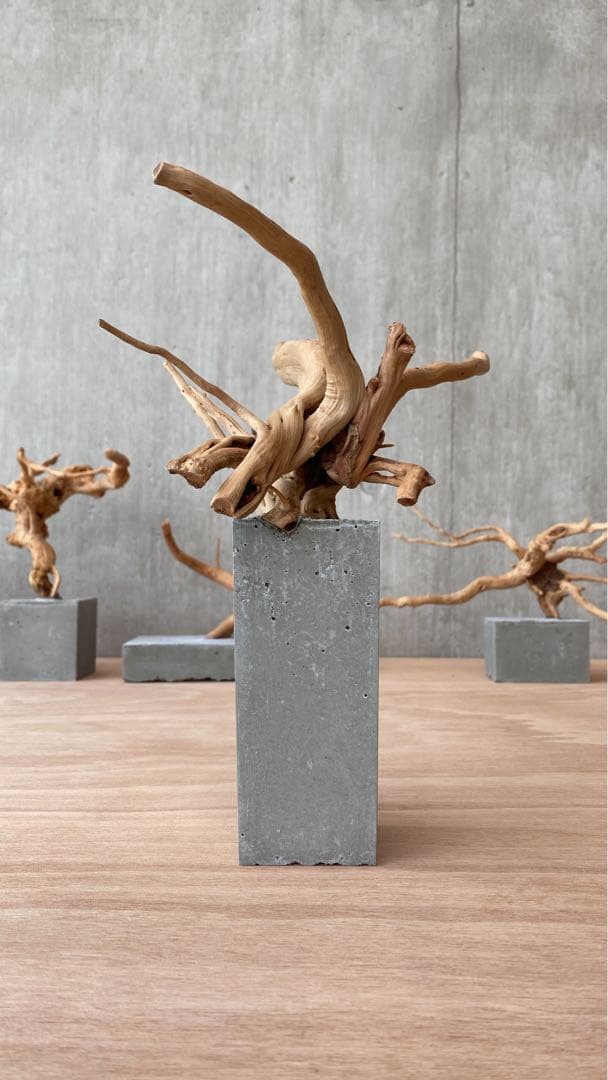 コンクリート盆栽 (m E ) 流木 オブジェ ディスプレイ 高級感