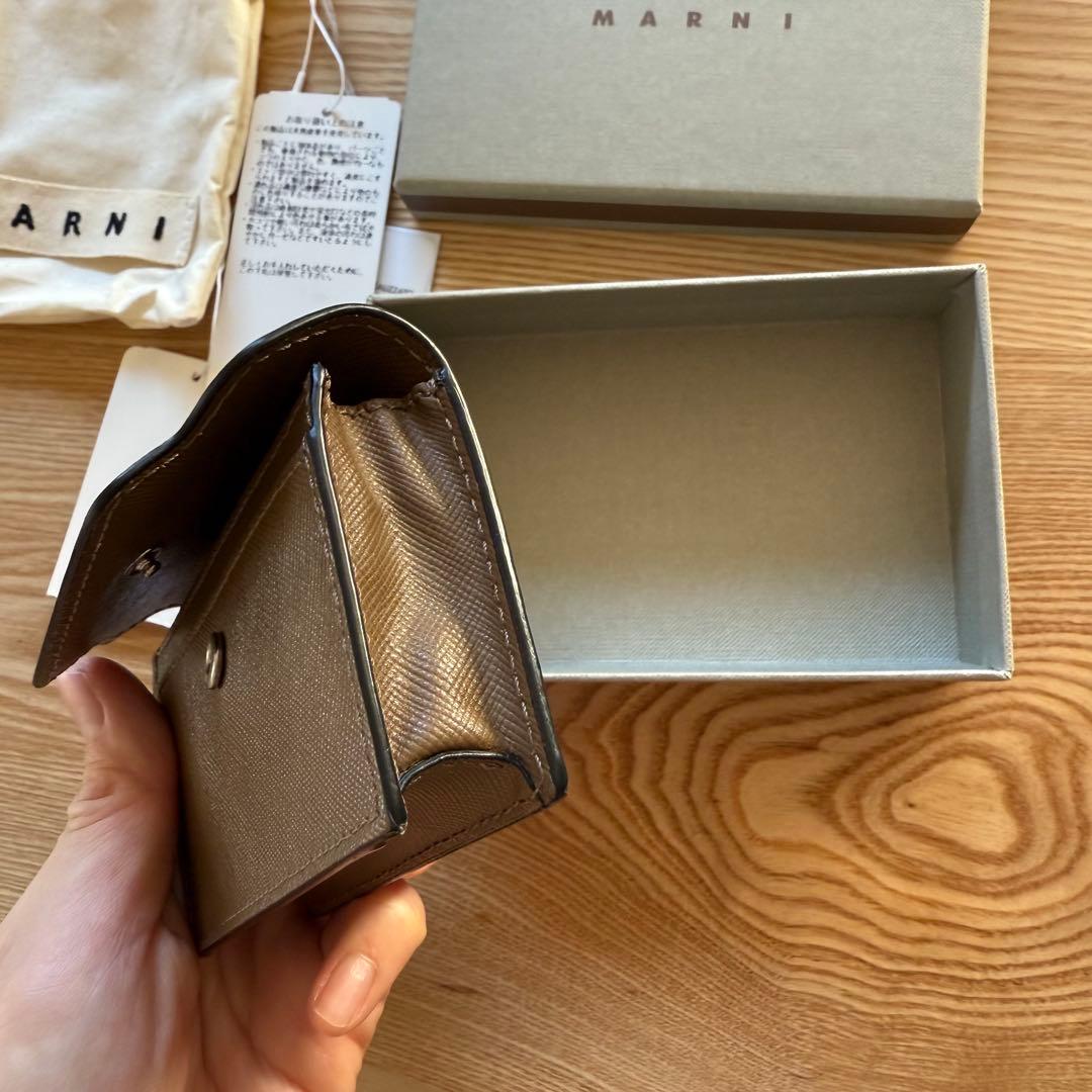 3月末までの出品！美品！公式販売終了カラー　マルニ　カードケース　名刺入れ