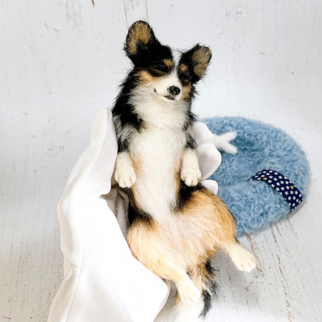 ペンちゃん☆プロフ読んでね(*´ω｀*) 羊毛フェルト 犬 コーギーちゃん