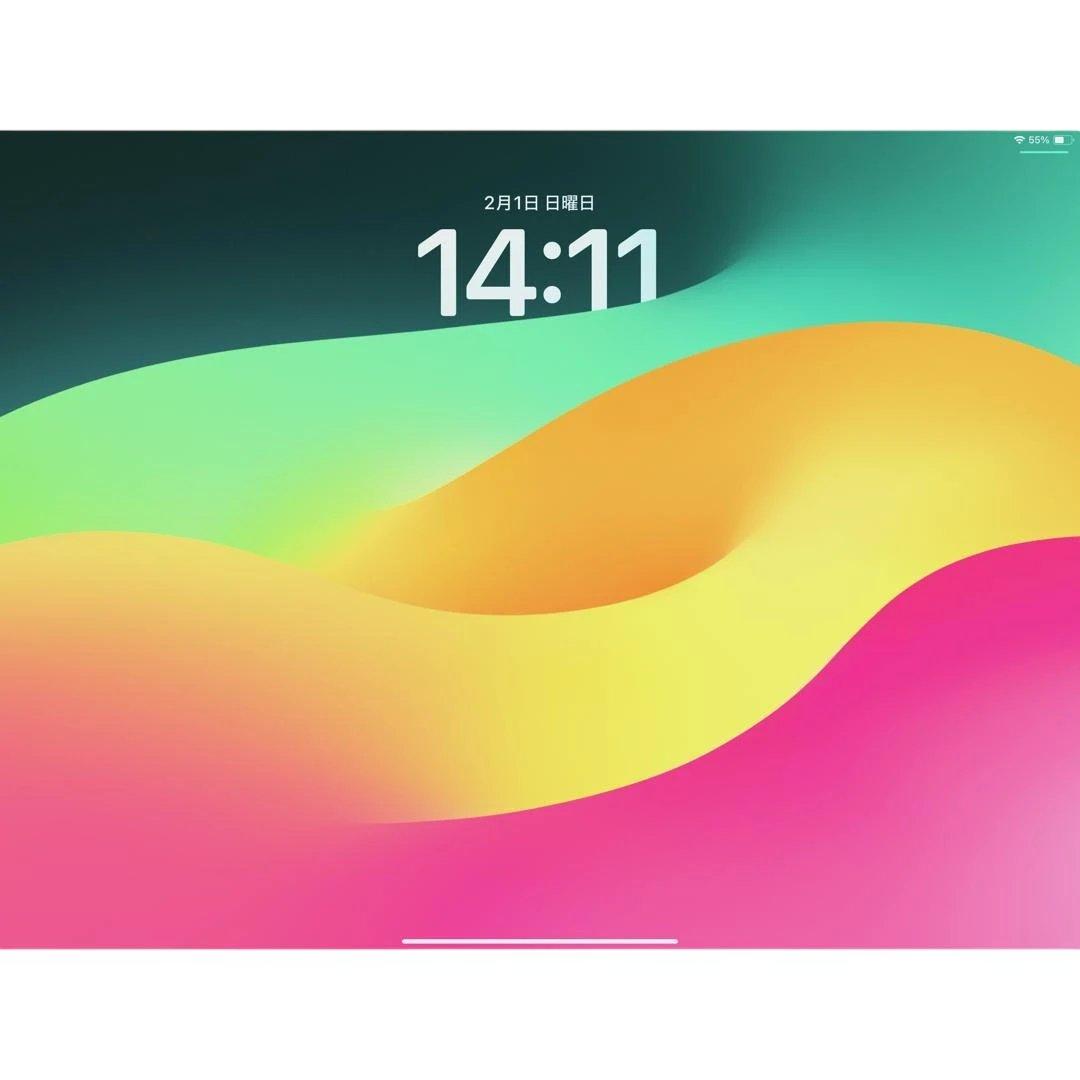 (ジャンク)iPad Pro 12.9インチ 第3世代 512GB Wi-Fi