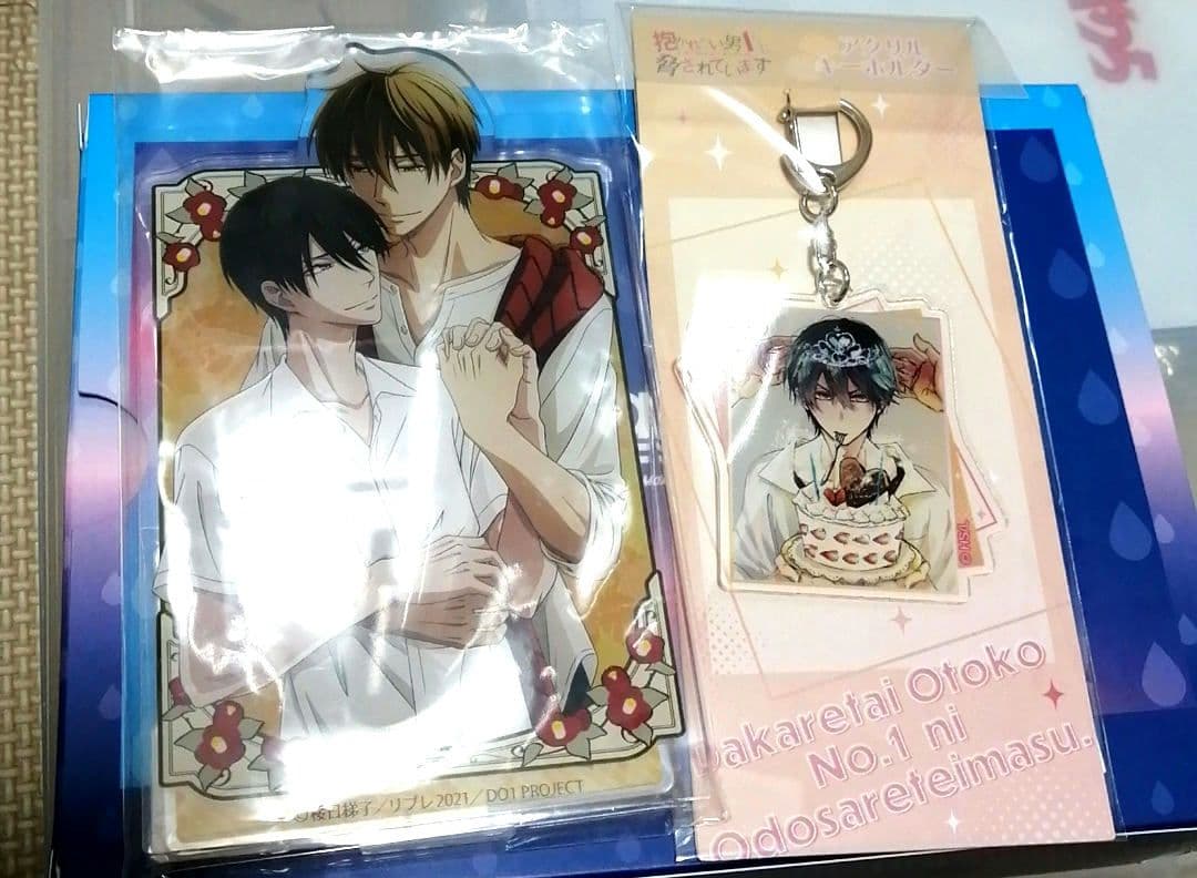 抱かれたい男一位に脅されています　だかいち　小冊子　ブックレット　リーフレット