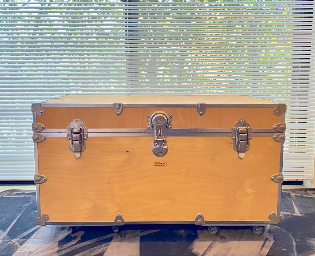 STUSSY Livin’ 「Rhino Trunk」　希少size44