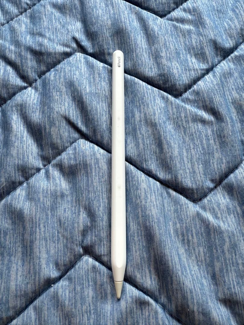 iPad プロ第5世代12.9 インチM1チップ