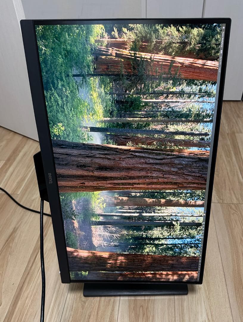 BenQ PD2500Q デザイナー向けモニター 25インチ