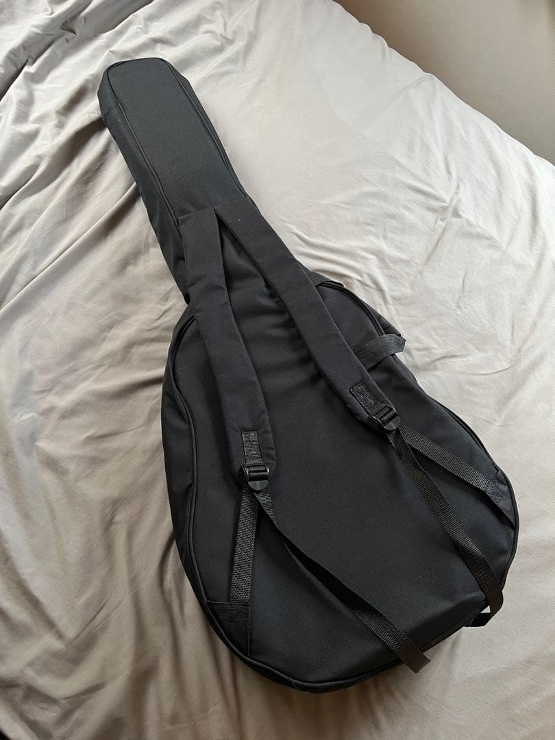 Epiphone Masterbilt DR500 MCE + ソフトケース